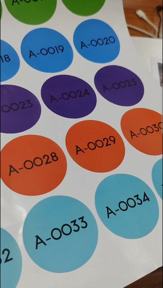 Custom Color-Coded Consecutively Numbered Labels